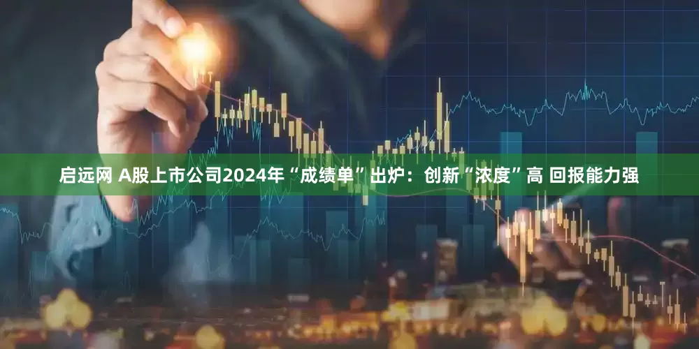 启远网 A股上市公司2024年“成绩单”出炉：创新“浓度”高 回报能力强