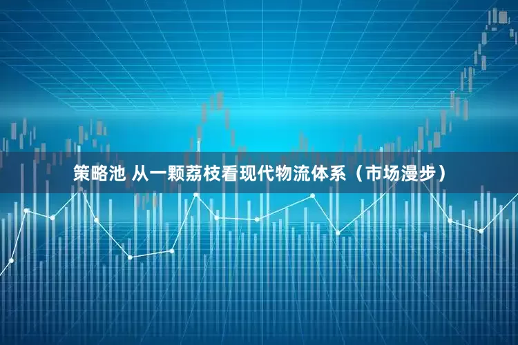 策略池 从一颗荔枝看现代物流体系（市场漫步）