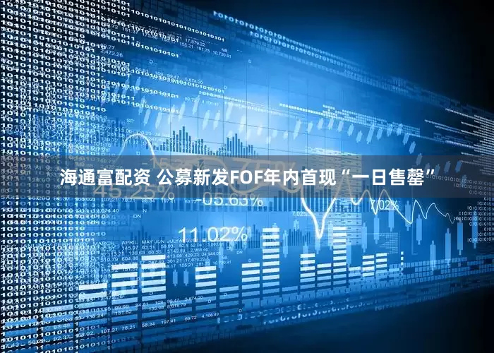 海通富配资 公募新发FOF年内首现“一日售罄”