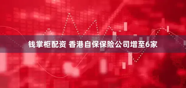 钱掌柜配资 香港自保保险公司增至6家
