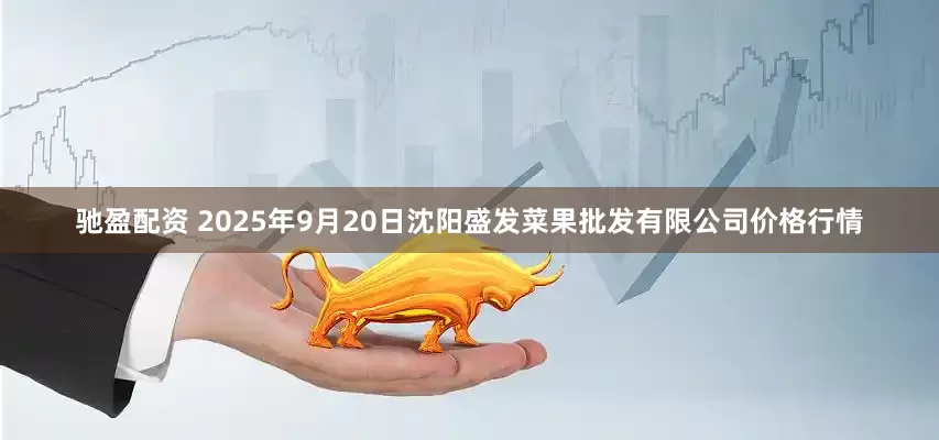 驰盈配资 2025年9月20日沈阳盛发菜果批发有限公司价格行情