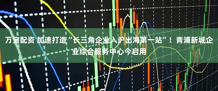万宝配资 加速打造“长三角企业入沪出海第一站”！青浦新城企业综合服务中心今启用