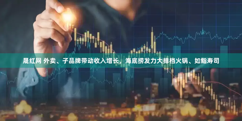 晟红网 外卖、子品牌带动收入增长，海底捞发力大排档火锅、如鮨寿司